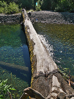 Monte Cristo log crossing. 
Gothic Basin, WA 06/20/15