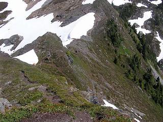 Yellow Aster Butte 049