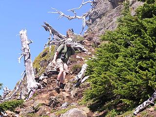 Yellow Aster Butte 064