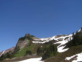 Yellow Aster Butte 071