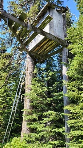 summit tree house
