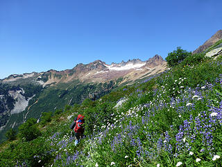 Alpine wanderings in view of Mt Minch