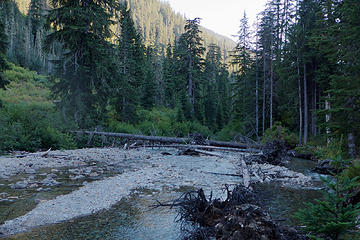 A big tree just downstream of the trailhead that could be a possible river crossing at higher flows