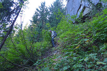 Brush below the cliff after exiting the gully