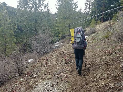 Bare trail at ~5000'