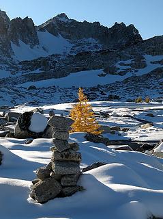 Late Afternoon Cairn & Larch