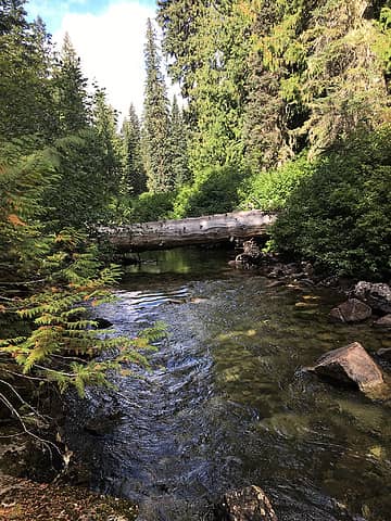 log crossing to original Frosty creek trail
