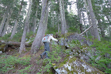 The top of the gully at 4000'. Upon entering the forest here the undergrowth becomes thinner and travel is much easier, but still steep