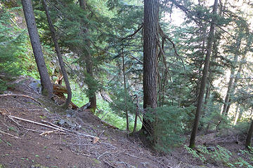 At the top of the gully. The slope is steep here so care must be taken to get into the gully safely.