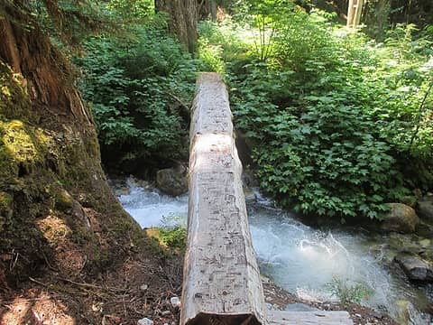 Bachelor Creek foot log