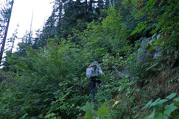 At the base of the cliff we veered left toward a gully. This was the most brushy section and on a steep slope.