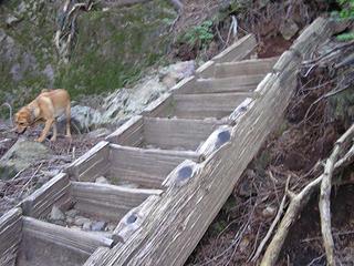 Stairs up the trail