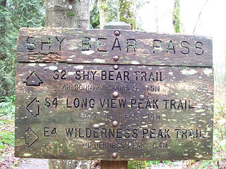 Shy Bear Pass
