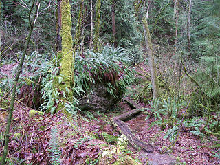 Pathway around big boulders along the Wilderness Creek Trail