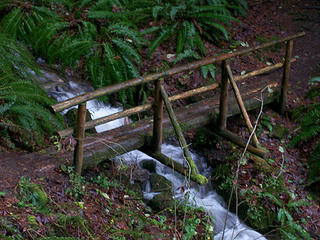 Creek crossing on Wilderness Creek Trail
