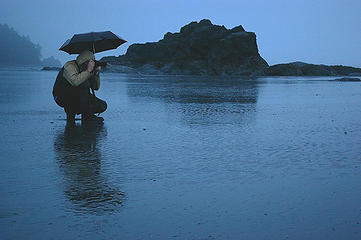 Ruby Beach_An Intrepid Photographer, or, Doesn't that Idiot Know When to Come in Out of the Rain