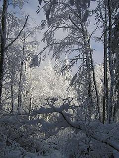 A winter wonderland