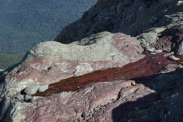 The area below the Jerry Glacier has many small red pools
