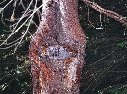 The junction is clearly marked by a sign on a tree, but not for much longer