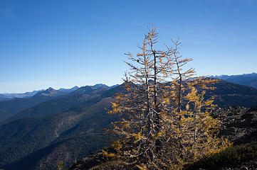View north view with larches loosing their needles