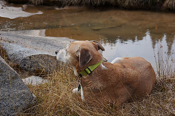 Liesl chilling out a bit during our break back in the valley.