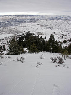 Looking at The Wenatchee Valley from the East slope of Pitcher Mtn.
