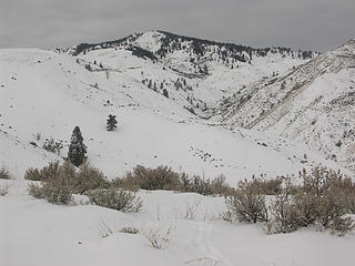 Dry Gulch with Pitcher Mtn.