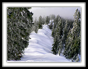 Snow Drift Ridge , 2.14.08.