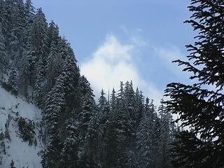 Trees, snow, sky, clouds