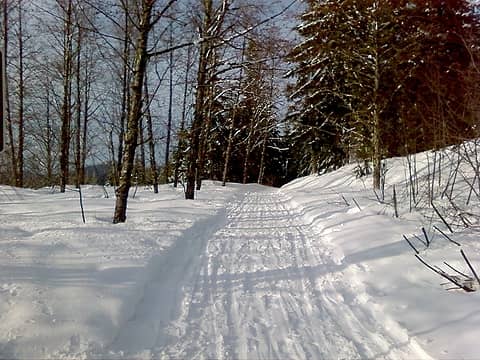 MTTA ski trail