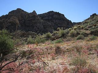Grapevine Canyon walls in view