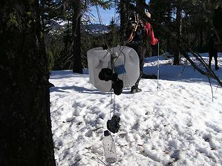 Emergency survival gear hanging from a tree
