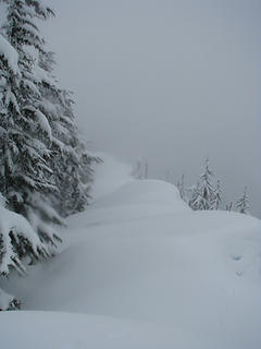 Lots of fresh powder and undulating drifts and cornices.