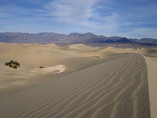 Mesquite Dunes, Death Valley National Park. CA