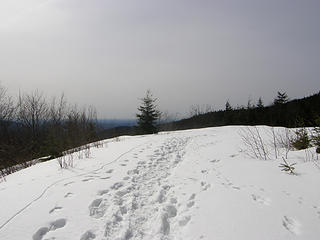 Rattlesnake first clearing. Shortly after this area, the snowshoes went on.