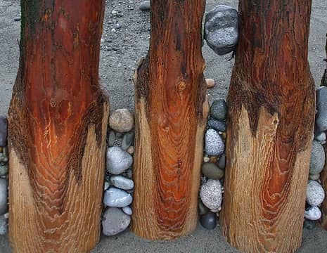 Storm damage has caused ancient pilings to appear near the lighthouse, part of an old wharf