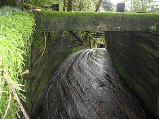 Looking up the log chute