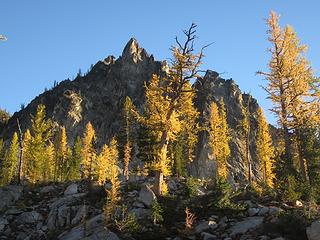 Pinnacle and larches above camp
