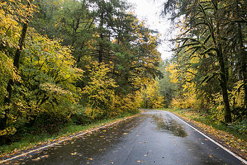 Fall colors near Wise Creek