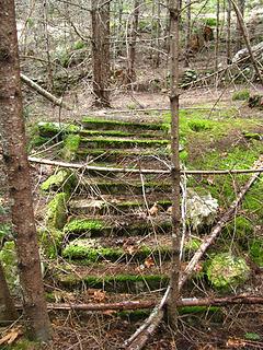 Woodland Stairs