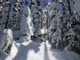 No more Squilchuck Trail, but stunning backcountry snowscapes.