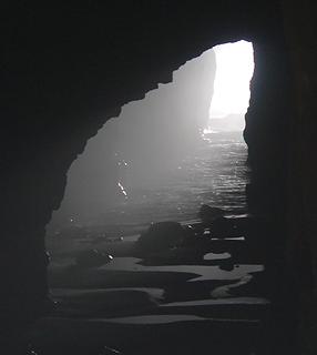 Sea Lion Caves, Oregon