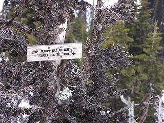 From summit of Jolly - sign to Yellow Peak