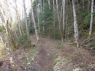 Lower section of Mt. Washington old road/trail.