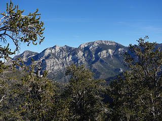 Spring Mountains National Recreation Area, Humboldt-Toiyabe National Forest