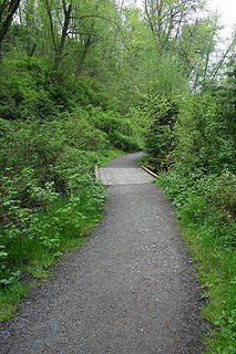 Trail with bridge ahead