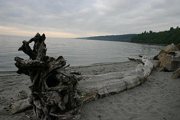 Log on beach with Puget Sound beyond