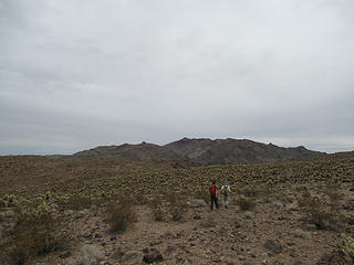entering the cholla fields