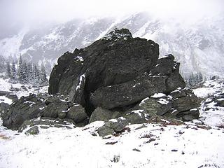rocks with tree