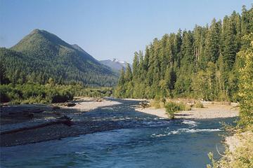 quinault-river-from-high-bridge-0706